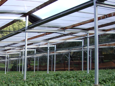 Strutture
                Leggere